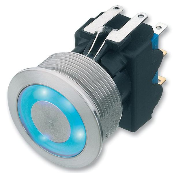 Schurter (1241.6934.1122000) Vandal Resistant Switch, MSM DP, 22.1 mm