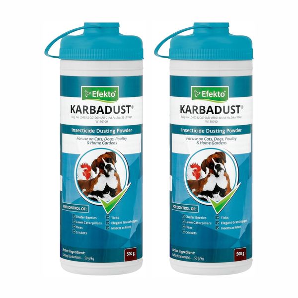 2 x Efekto Karbadust 500g