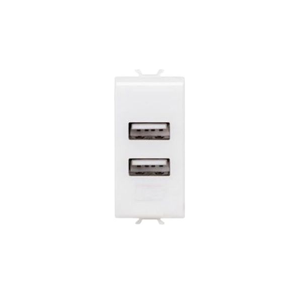 Gewiss - Chorus 1M USB 2-Port Charger Module Satin White