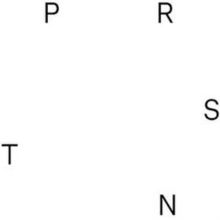 PRSNT (Vinyl / 12" Album)