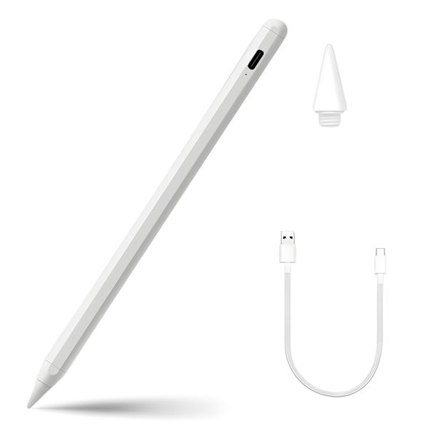 Stylus Pen with Replacement Nib and Magnetic Function Compatible with iPad Pro 13 (M4), iPad Pro 12.9"(3rd/4th/5th/6th), iPad Pro 11"(All