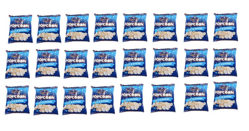 Homestyle Popcorn Pack of 24 Salt and Vinegar