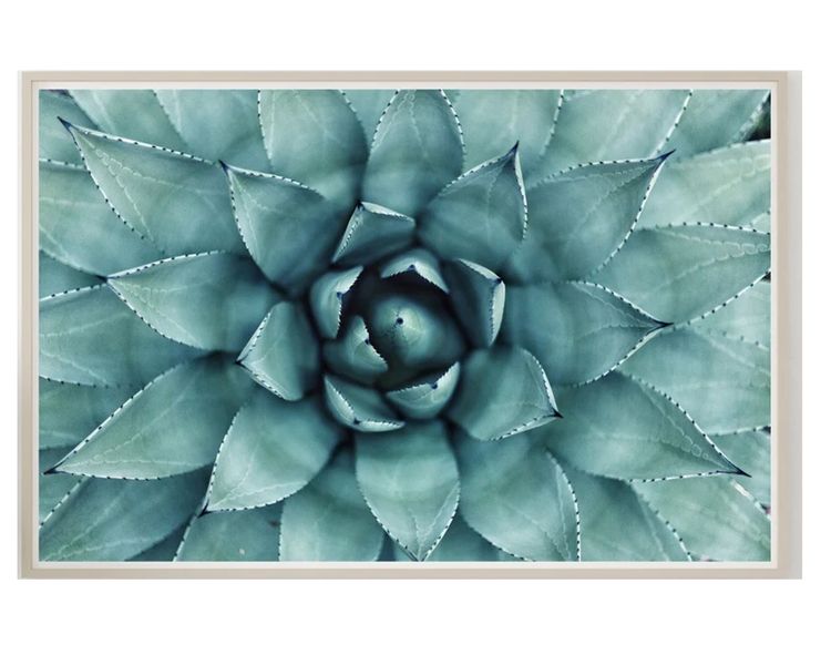 Green and White Cotton Canvas - Botanical Wall Art
