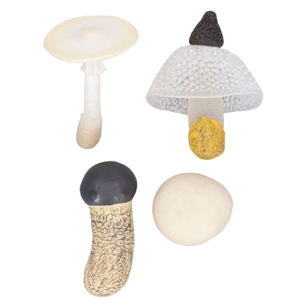 4 piece Miniature Mushroom Model Set High Simulation Mushroom Decoration