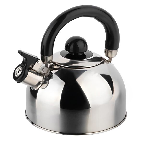 Home 'n Leisure Stainless Steel Whistling Kettle (2L)