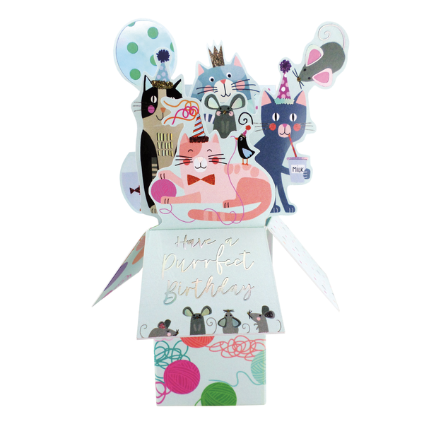 3D Pop-up Clever Cubes Birthday card - Cats
