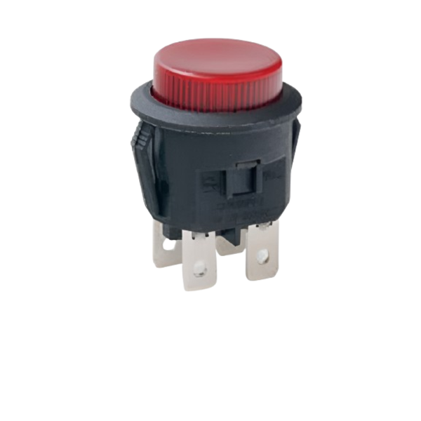 LC2108KDET2B-AK 23mm DPST Momentary Push Button Switch with Lamp