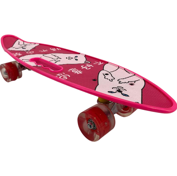 Skateboard Cruiser