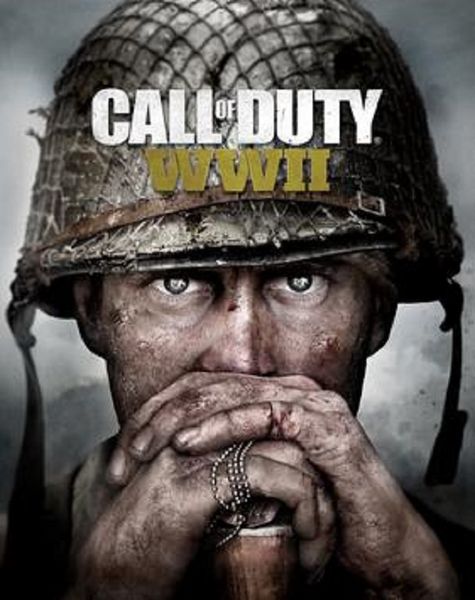 Call of Duty: World War 2 (PC - CIAB)