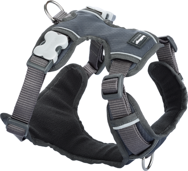 Red Dingo Padded Harness - Small - Red S