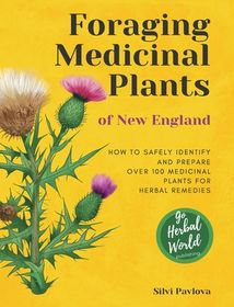 Foraging Medicinal Plants of New England: How to safely identify and ...