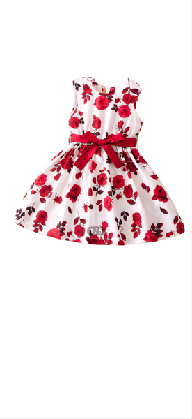 Toddler Girls Floral Print Keyhole Back Belted Dress