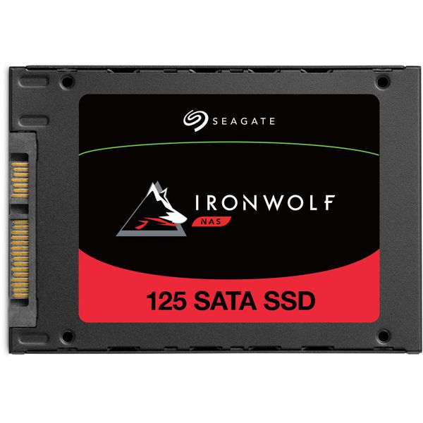 Seagate ZA250NM1A002 250GB Ironwolf 125 SSD