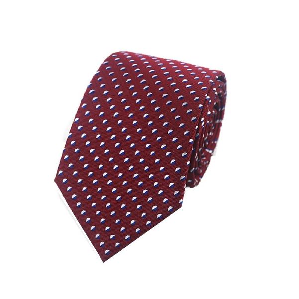 Men's Formal Polyester Tie - F15