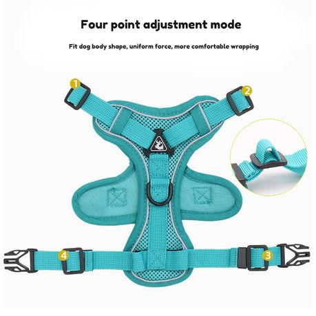 Dog Harness Cat Harness Leash Adjustable Small Breed Turquoise Gift Star Shop Today. Get it Tomorrow takealot