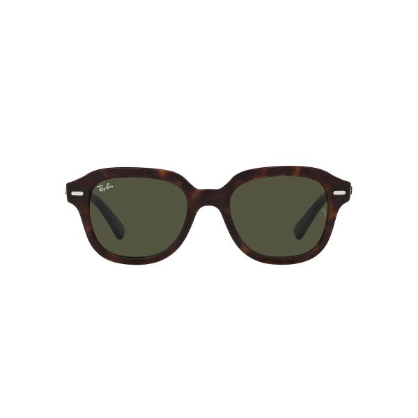 Ray-Ban Erik Sunglasses RB4398 902-31 51