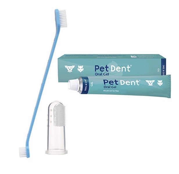 Pet Dent logo