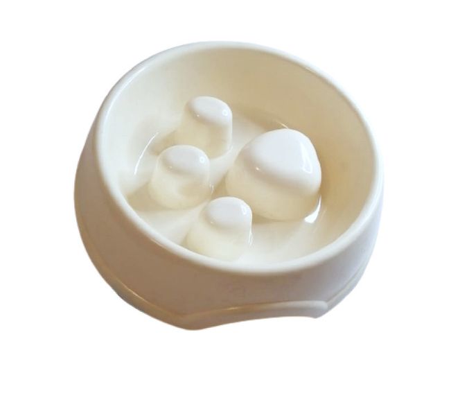 Dog Slow Feeding Bowl(small)