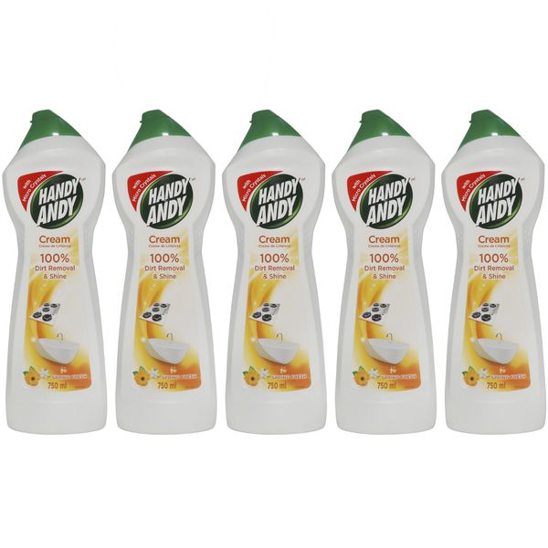 Handy Andy Household Cleaning Cream Spring Fresh 750ml (Pack of 5)