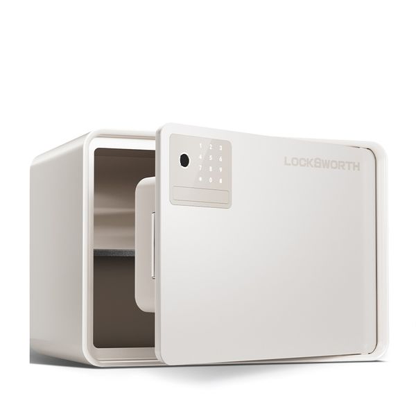 Locksworth Fingerprint Safe Box