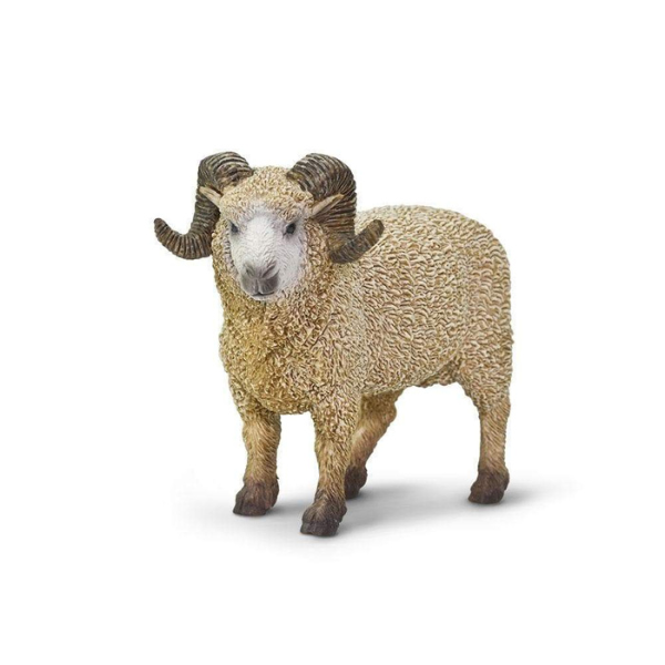 Safari Ltd - Ram Male Sheep