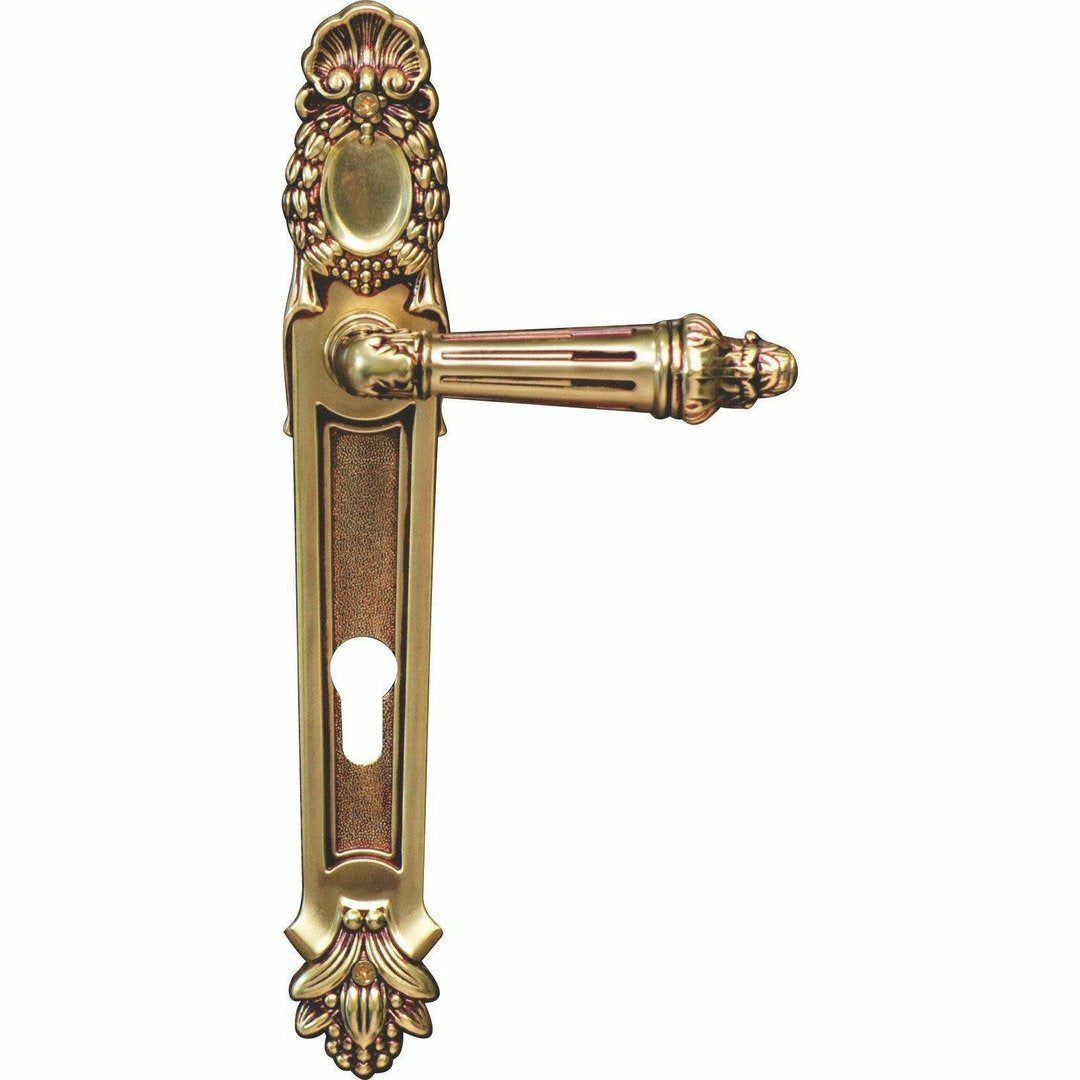 "Cape" Royal Antique Door Handle on Back Plate Buy Online in South
