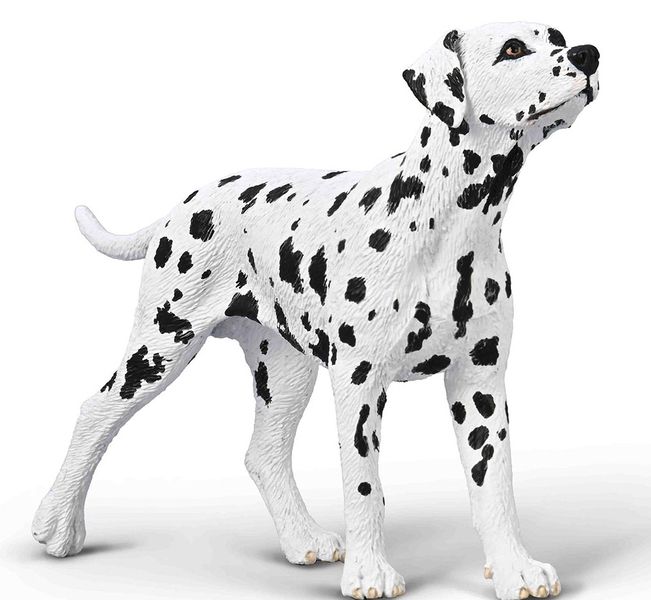 Cats and Dogs Med Dalmatian