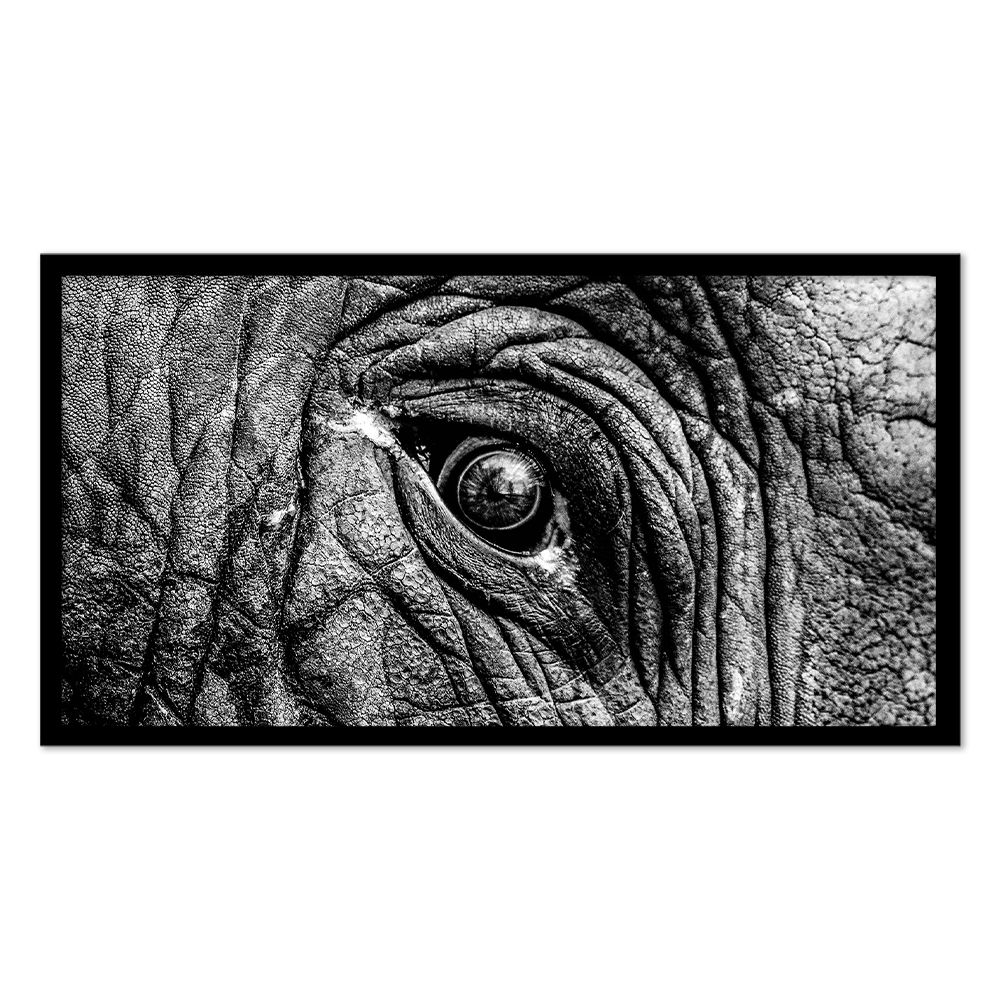 Cape Art Framed Canvas 1 Piece 77x155cm Elephant Eye Close Up Shop