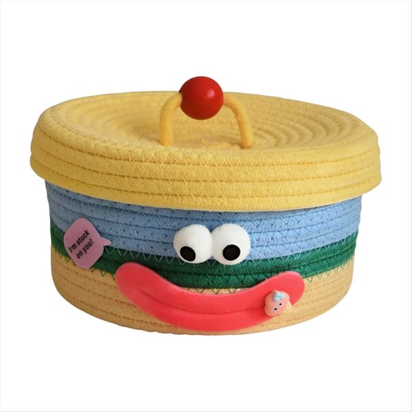 Desktop Storage Basket with Lid Woven Snack Storage Box Coffee Table Living