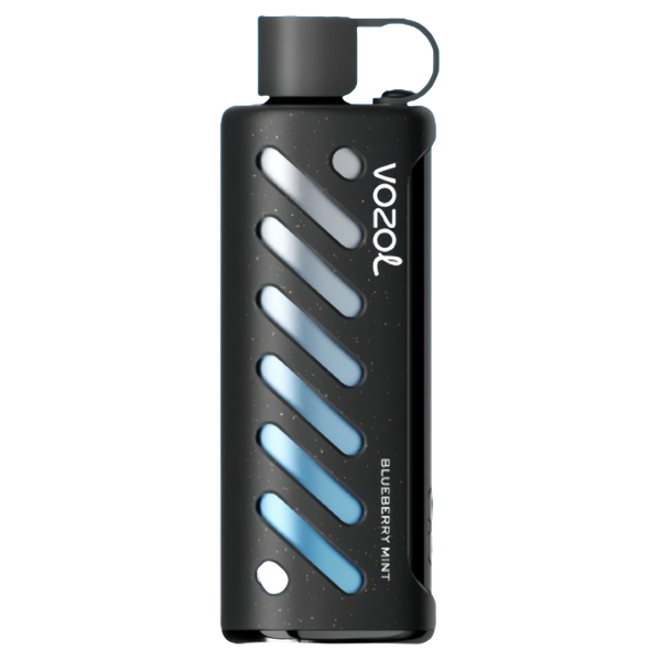 Blueberry Mint 25k Puff Vozol Gear Shisha Disposable Vape