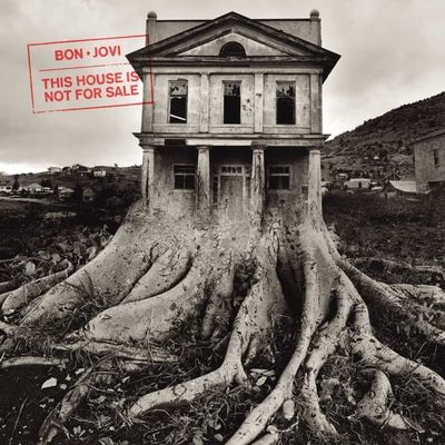This House Is Not for Sale (Vinyl / 12" Album)