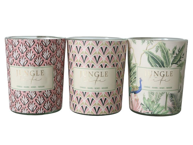 Scented Candle in Glass Jar Botanical Scents 3 Piece Set