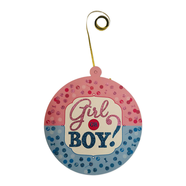 Gender Reveal Wall Decor- Girl or Boy? Pink &amp; Blue
