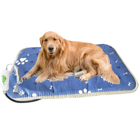 Dogs and outlet electric blankets