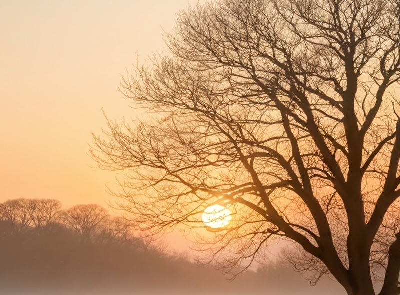 Canvas Wall Art Decor - Sunrise Serenity