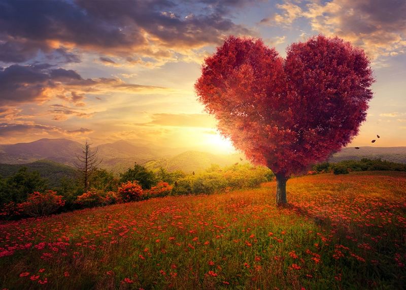 Canvas Wall Art - Red Heart Shaped Tree