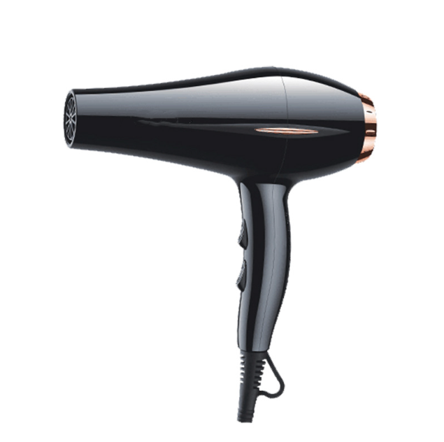 3000W Professional Hair Dryer Fast Drying Anions Hair Care - Black