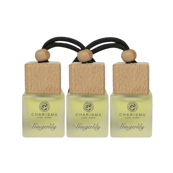 3 Mini Car/Closet Diffusers - Gingerlilly