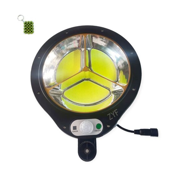 CC7702-3 Solar Powered Induction Street COB Light 100W + Keychain