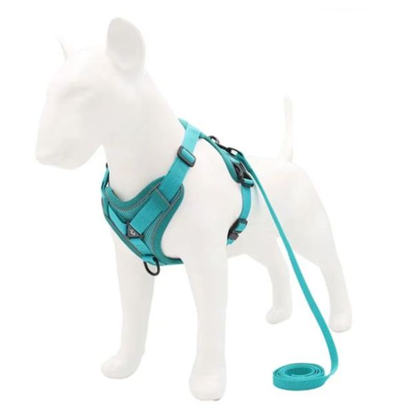 Dog Harness Cat Harness &amp; Leash Adjustable Small Breed Turquoise Gift Star