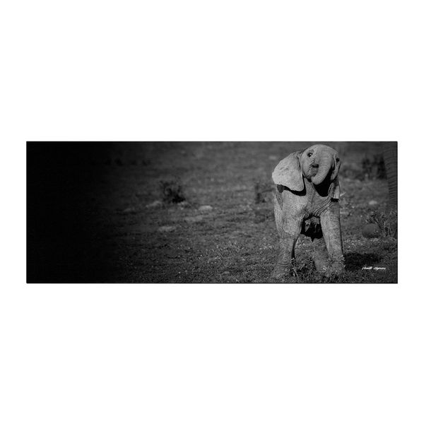 I am a happy happy Ellie Large Desk Pad By Annette Heymans