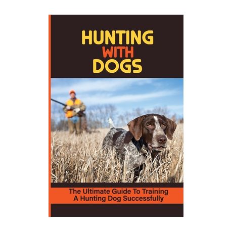 what age to start gun dog training