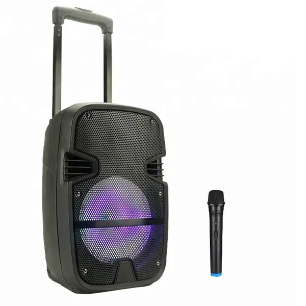 15" Portable Loudspeaker LED Light With Microphone