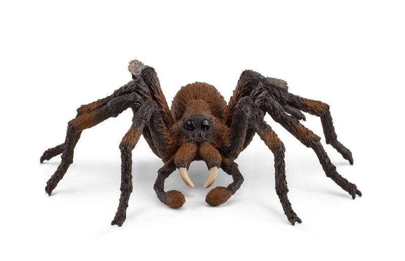 Schleich Harry Potter Wizarding World - Aragog - 14cm Long