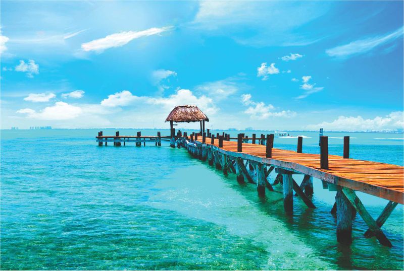 Laptop Skin Beach Deck