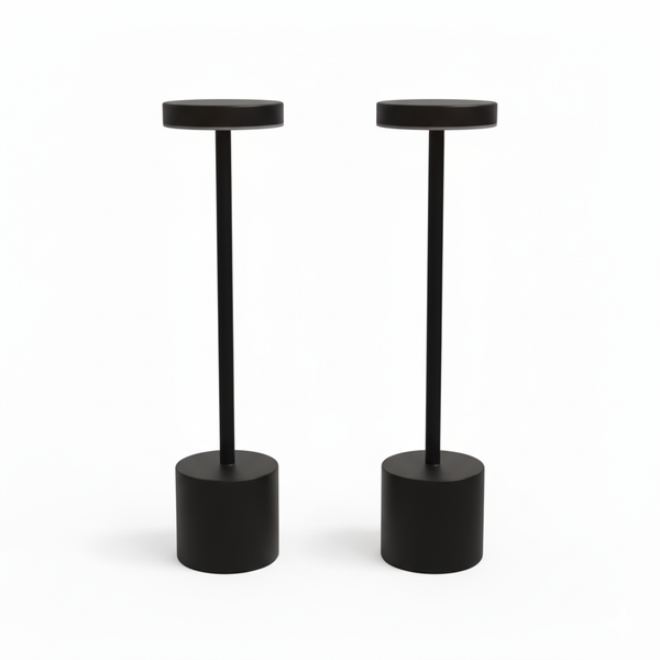 Modern LED Desk Lamp Combo - 2 Pack Rechargeable Lighting