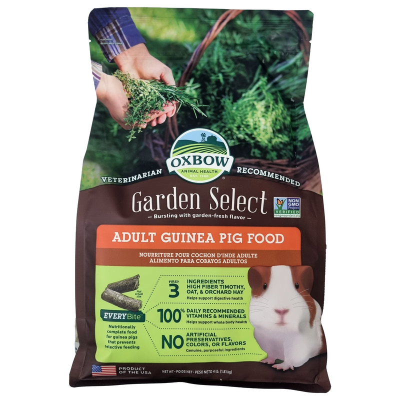 Adult guinea pig food best sale