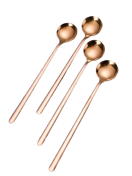 4 Piece Stainless Steel Spoon