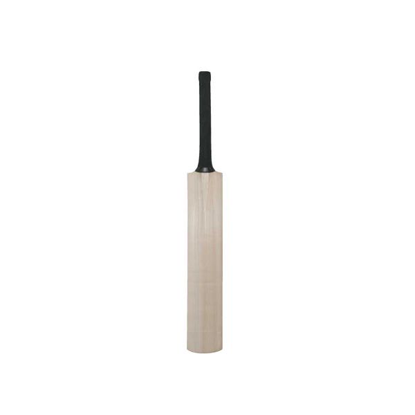 Mini Autograph Cricket Bat