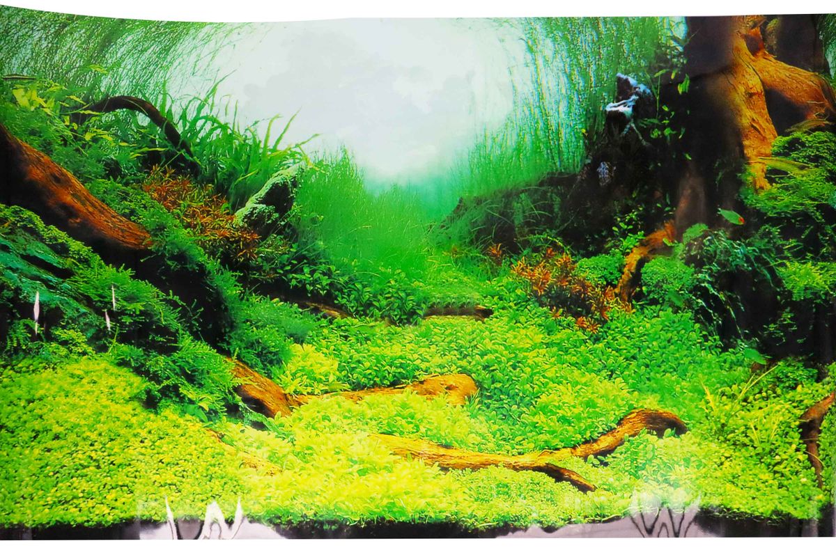 Fish Tank Background Poster - 115cm x 50cm | Buy Online in South Africa |  